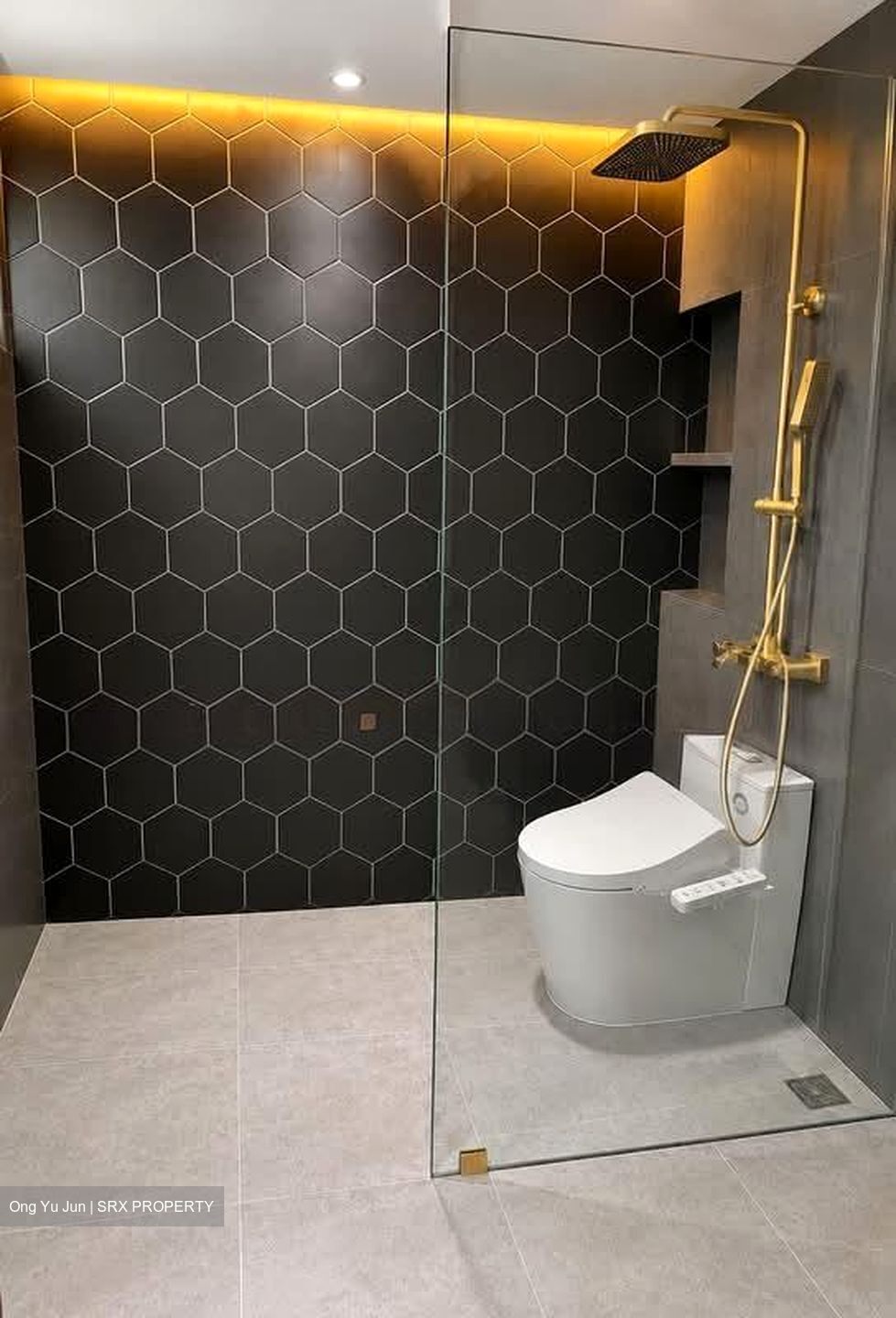 Parc Vista (D22), Condominium #593084901